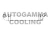 AUTOGAMMA 105785 Intercooler, charger